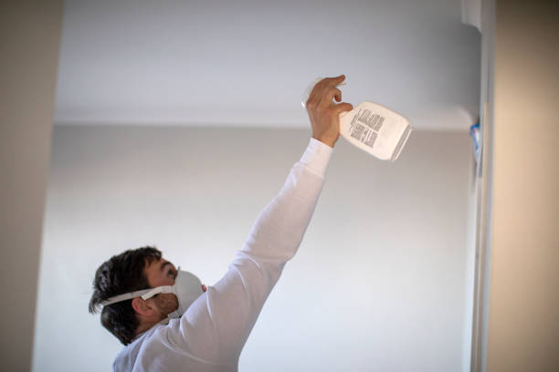 Best Mold Removal Near Me  in Killeen, TX