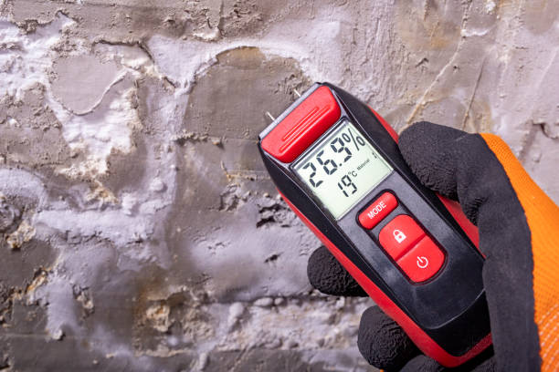 Best Office Mold Removal Services  in Killeen, TX