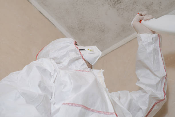 Certified Mold Removal in Killeen, TX