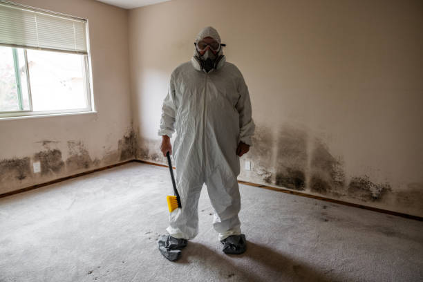 Best Residential Mold Removal  in Killeen, TX